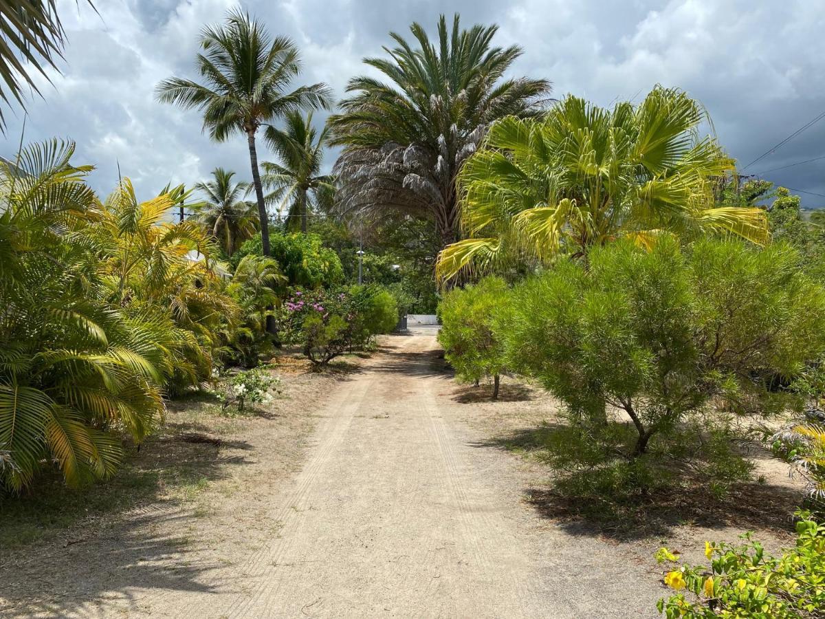 לה סאלין לה ביינס Villa & Bungalow 'Coco Des Sables' Les Pieds Dans L'Eau מראה חיצוני תמונה