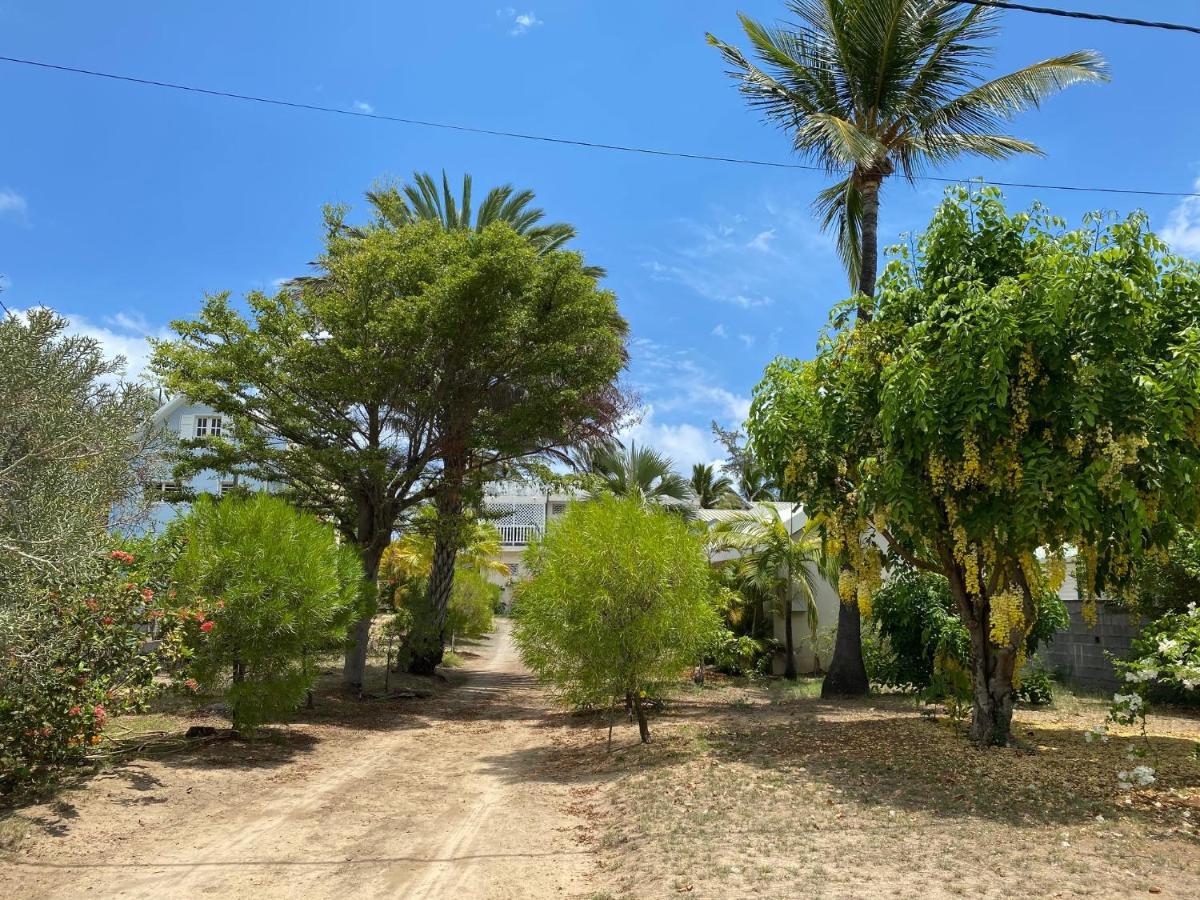 לה סאלין לה ביינס Villa & Bungalow 'Coco Des Sables' Les Pieds Dans L'Eau מראה חיצוני תמונה